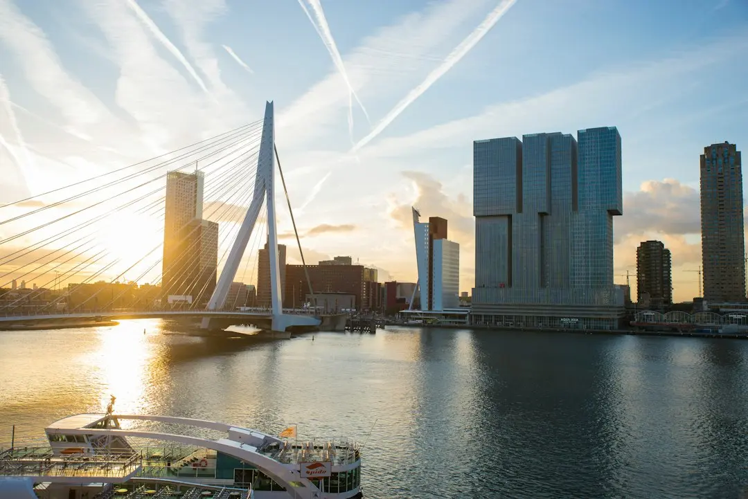 Rotterdam dezvăluie primele zece premiere mondiale